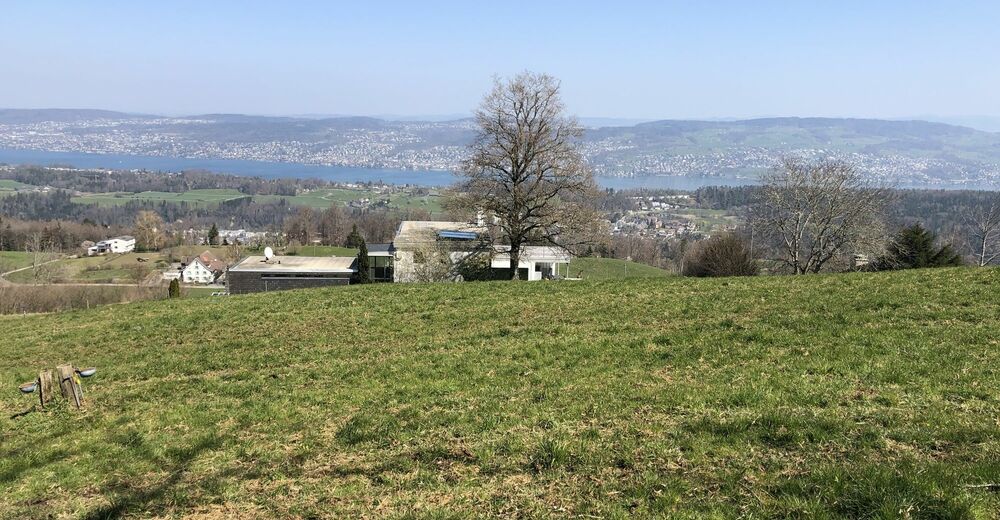 Türlersee Albis Rundweg BERGFEX Wanderung Tour