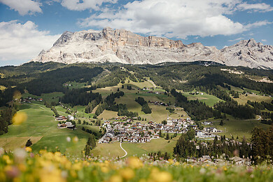 Badia