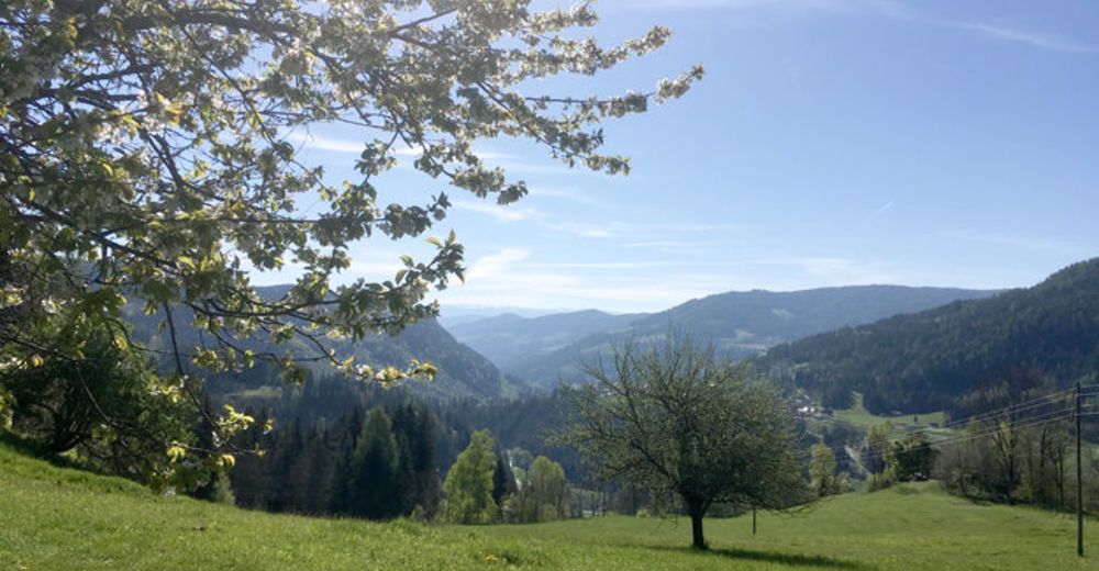 Touren in der Region Metnitz - Alpintouren, Wanderungen, Mountainbiketouren uvm. Touren - BERGFEX - Metnitz - Wandern Metnitz