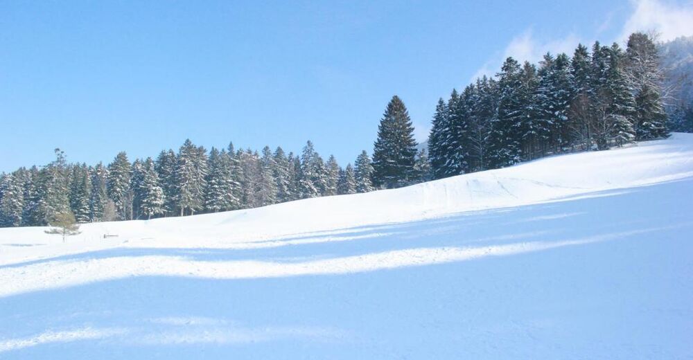 План лыжни Лыжный район Sous le Mont
