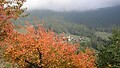 Letní region