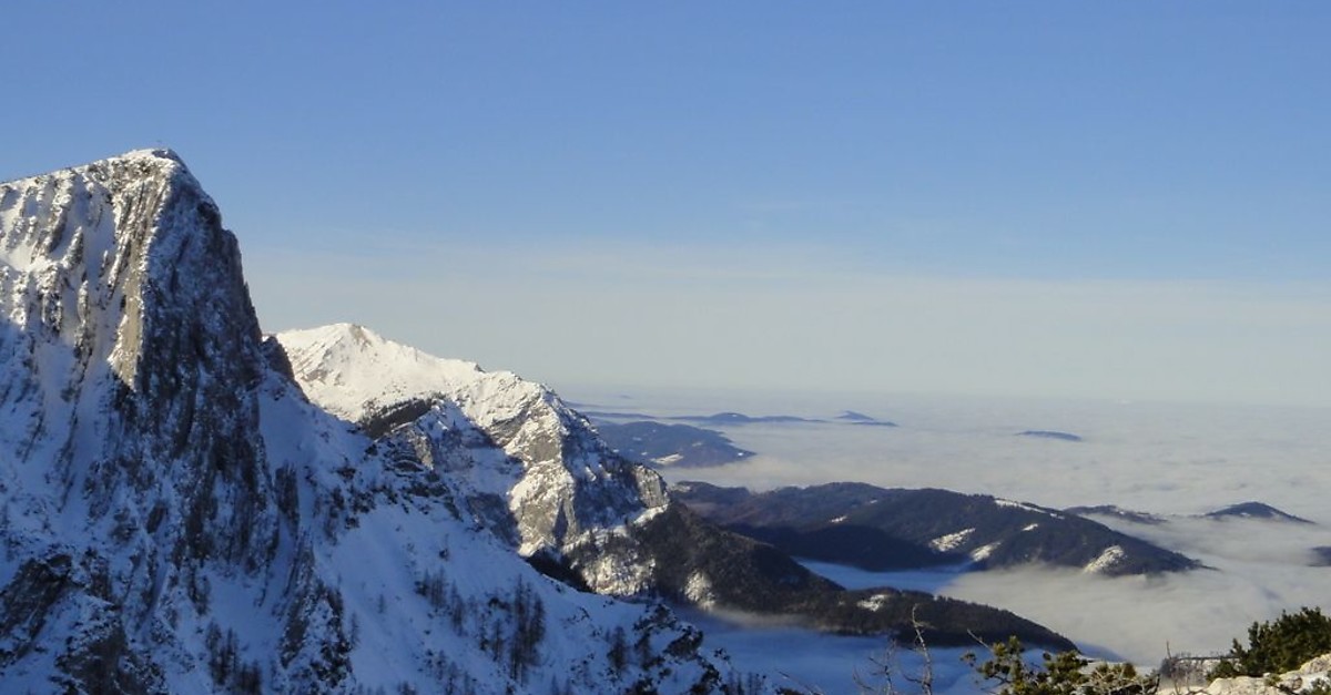 Zum Alberfeldkogel BERGFEX Schneeschuh Tour Oberösterreich