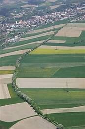 Grieskirchen