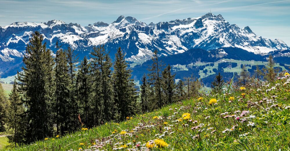 BERGFEX: Appenzell Ausserrhoden: Urlaub Appenzell Ausserrhoden - Reisen Appenzell Ausserrhoden