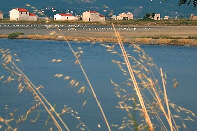 Sečovlje