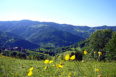 Zell im Wiesental