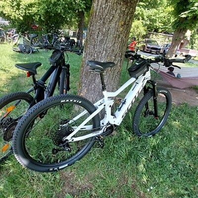 Avatar a Margit Kloimstein