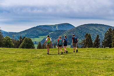 Schwarzwaldregion Belchen