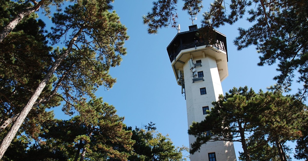 Enzesfelder Guglzipfrunde - BERGFEX - Wanderung - Tour ...