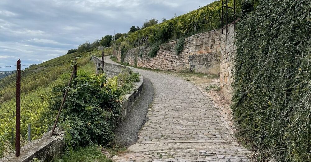 Esslinger Höhenweg - BERGFEX - Wanderung - Tour Baden-Württemberg