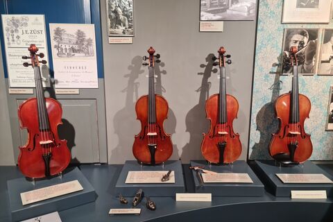 Violin Making School