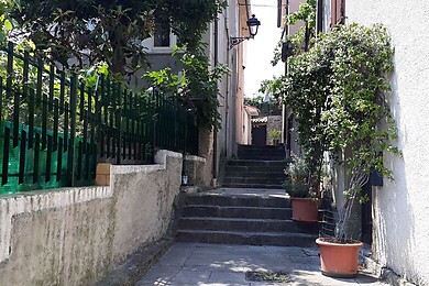 Muggia