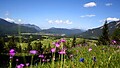 Sommerregion