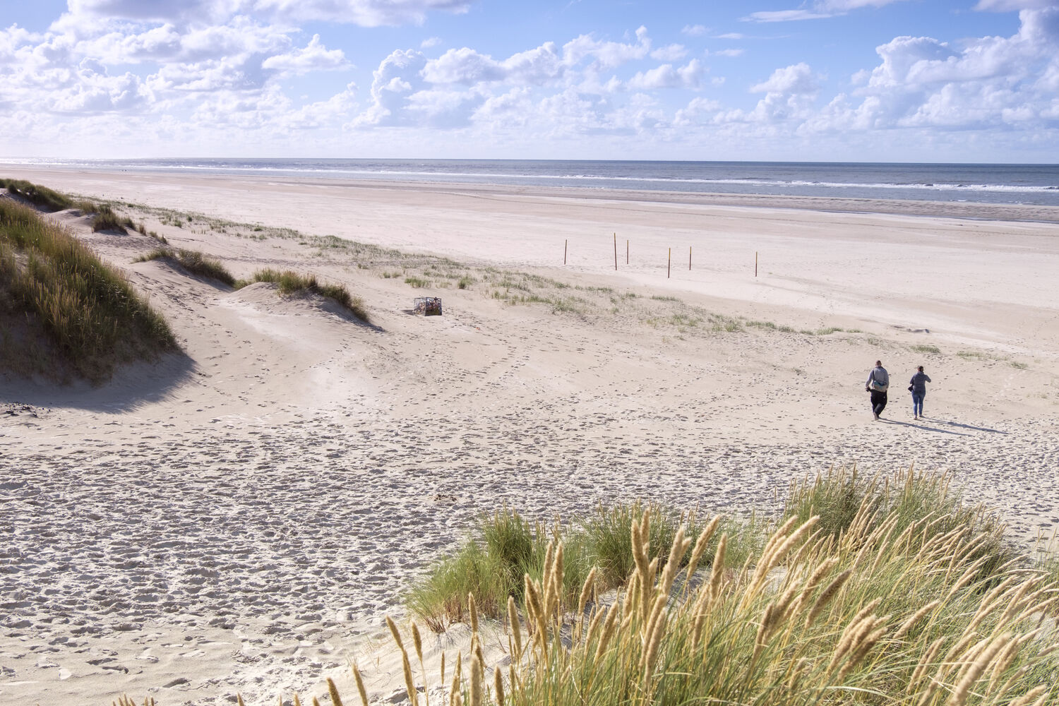 Langeoog