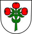 Logotipo Schwarzach im Kleinen Odenwald