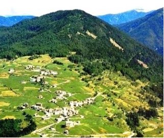 Bedollo