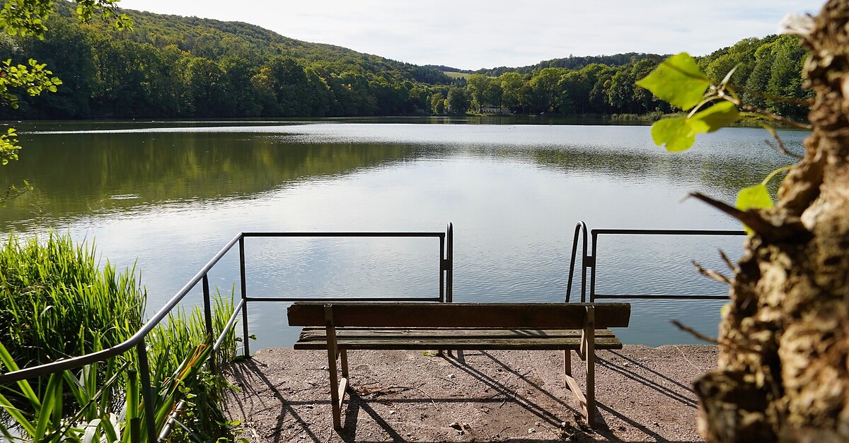 Tagesausflug zum Vatteröder Teich BERGFEX Radfahren Tour Sachsen