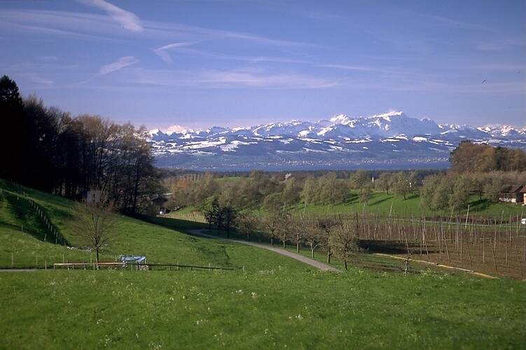 Tettnang