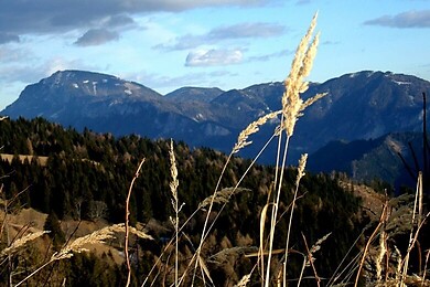 St. Margarethen bei Knittelfeld