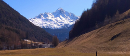 Логотип Pension Alpenruhe