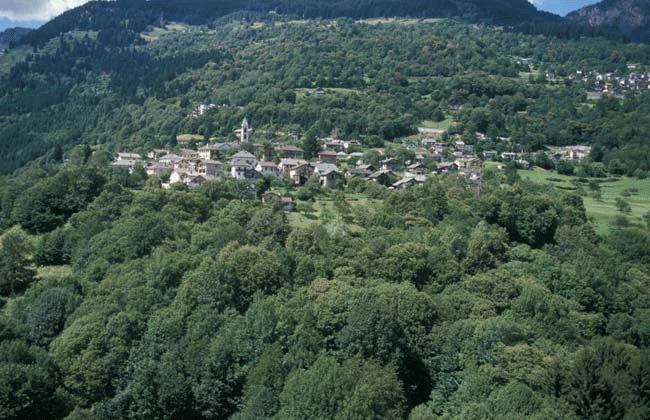Castaneda