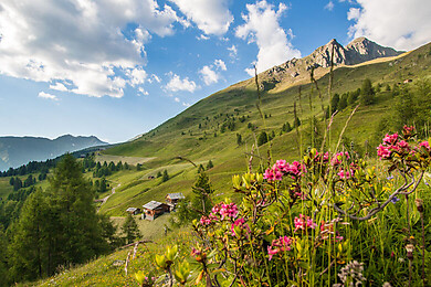 Gsiesertal - Welsberg - Taisten