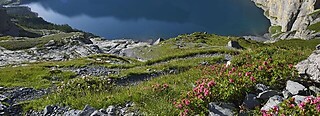 Oeschinen - Kandersteg