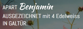 Logo Apart Benjamin