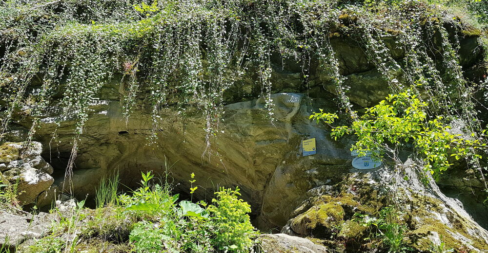 Kremstal Gudenushoehle - BERGFEX - Wanderung - Tour Niederösterreich