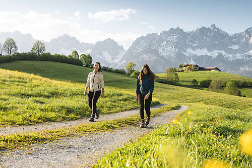 Frühling am Wilden Kaiser