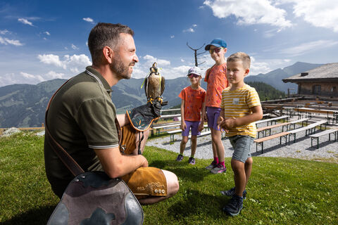 Bird of Prey Observatory Hochalm