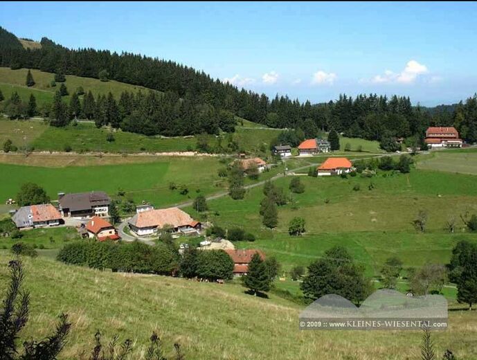 Neuenweg