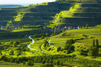 Regione estiva