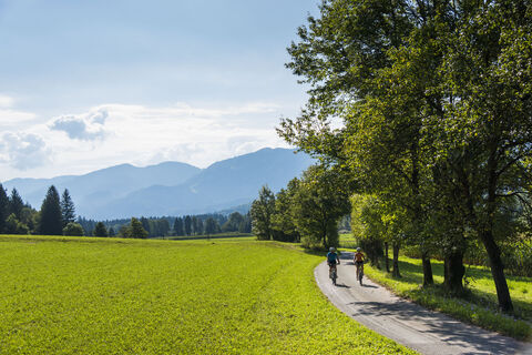Alpe-Adria-Radweg
