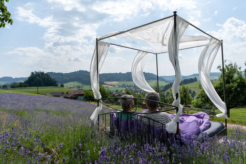 Schlafen in der Natur