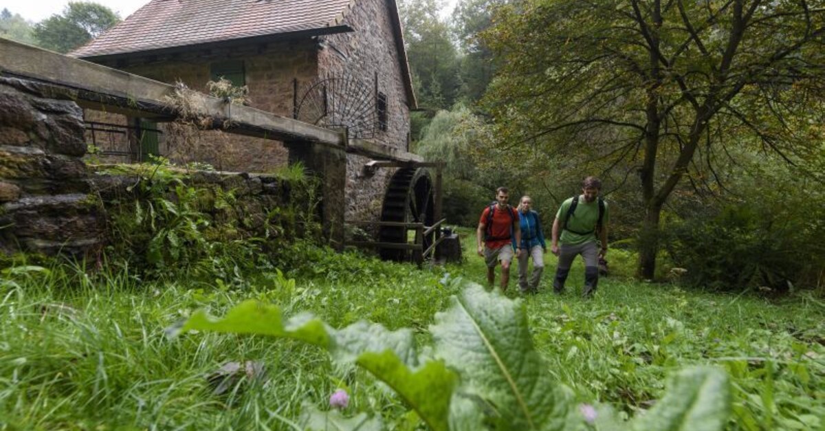 Rothenbuch Mühlenweg Rundwanderweg BERGFEX Wanderung Tour