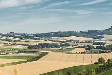 Leiser Berge
