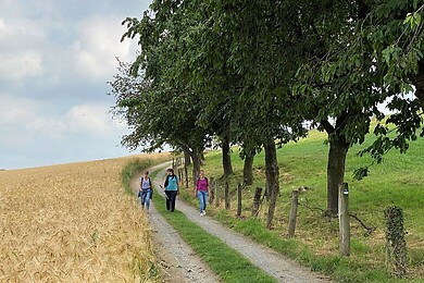 Hagen am Teutoburger Wald