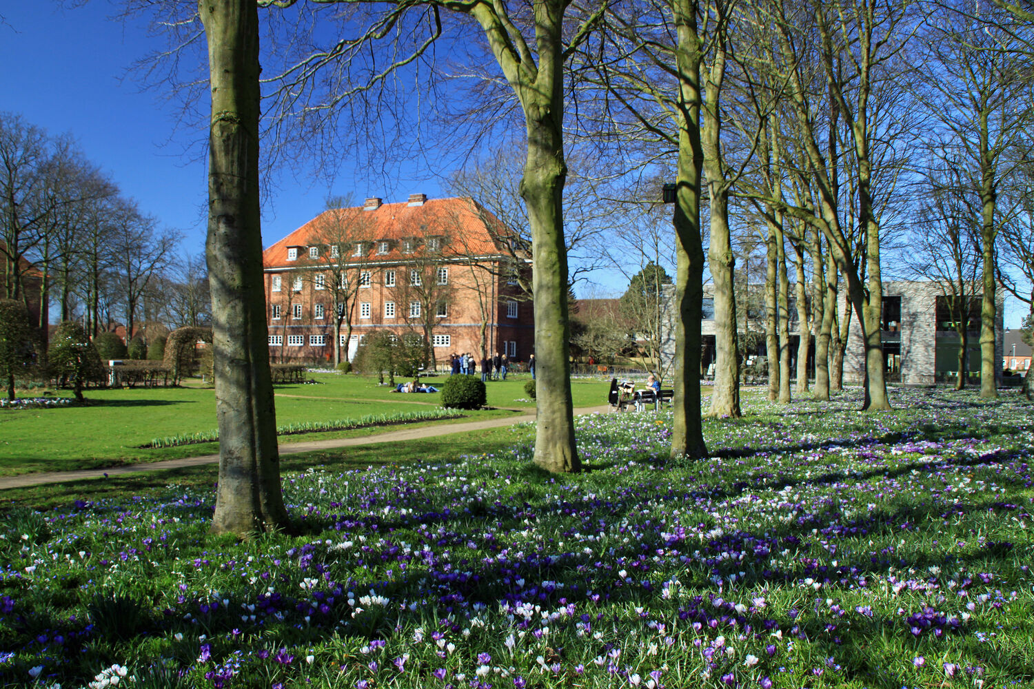 Niebüll