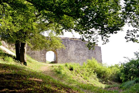 Burgruine Velburg