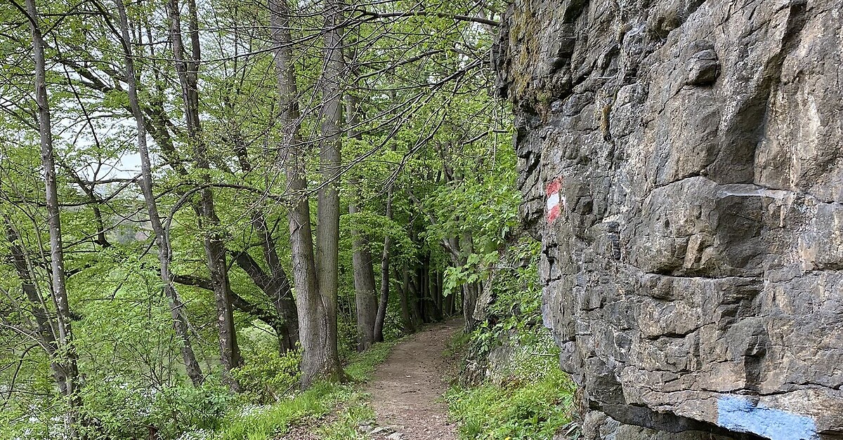 Wasser Und Felsen Bergfex Wanderung Tour Nieder Sterreich