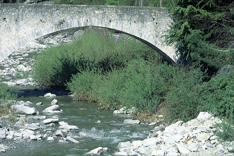Lodrino