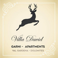 Logotip Apartments Villa David Dolomites