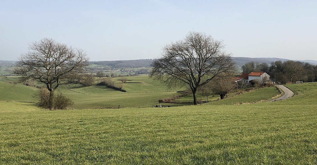 Rond Eperheide Terziet En Bovenste Bos Bergfex Wanderung Tour