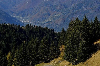 Ravascletto - Zoncolan