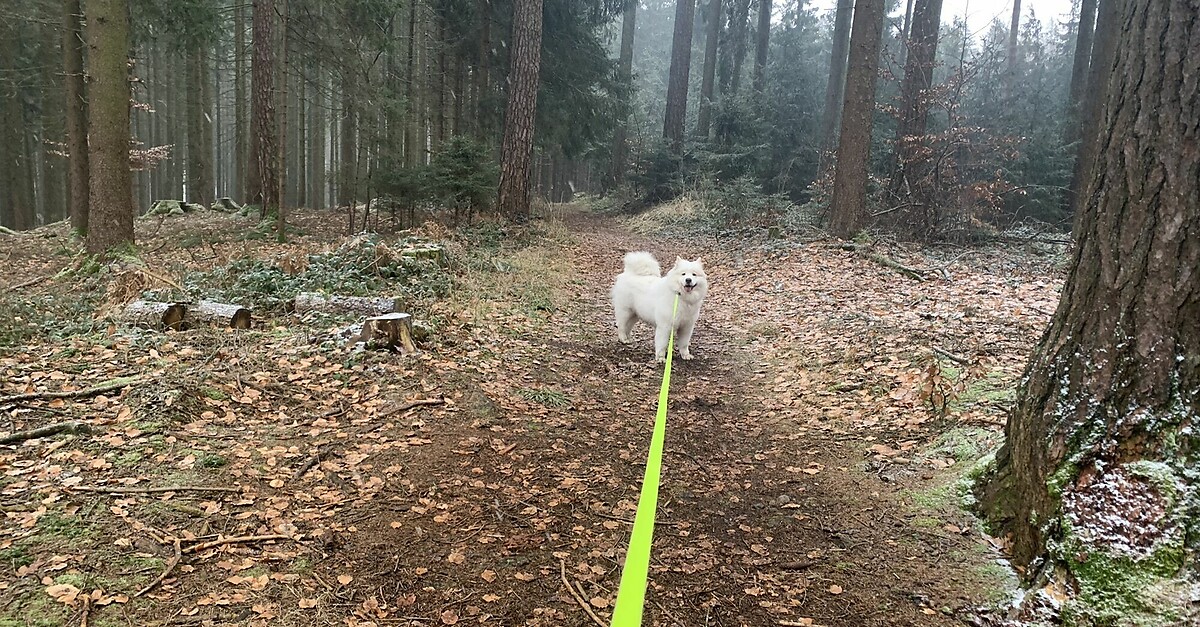 Attnang Vöcklabruck - BERGFEX - Wanderung - Tour Oberösterreich