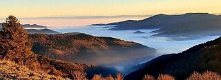 Vallée de la Doller et du Soultzbach
