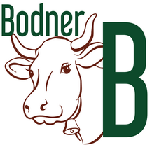 Logo s’Bodner