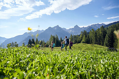 Bürserberg