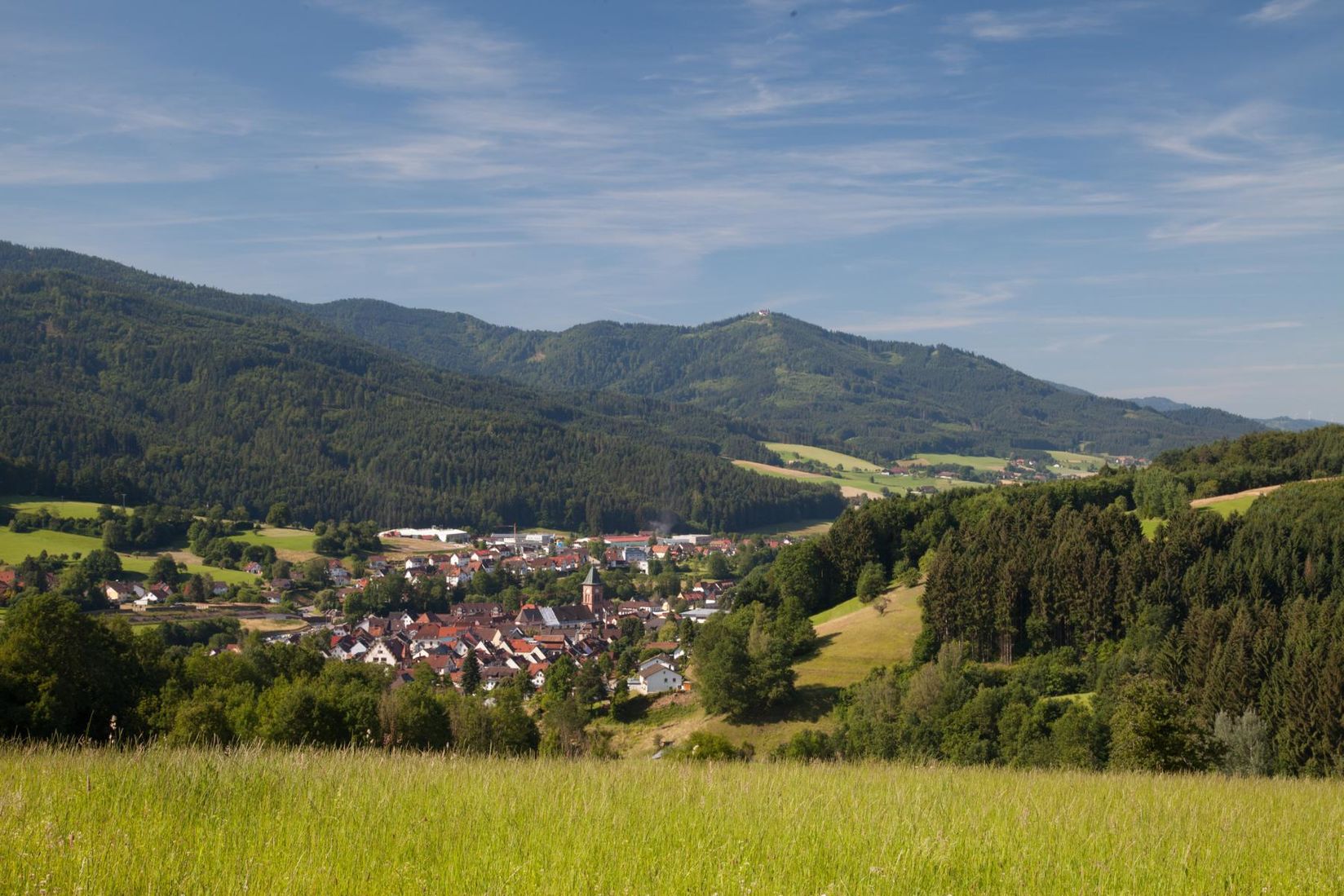 bergfex-panoramic-map-elzach-map-elzach-alp-elzach